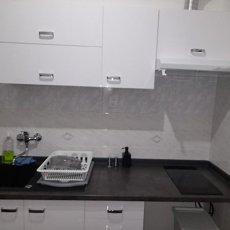 Apartments Vancurova ブルノ エクステリア 写真