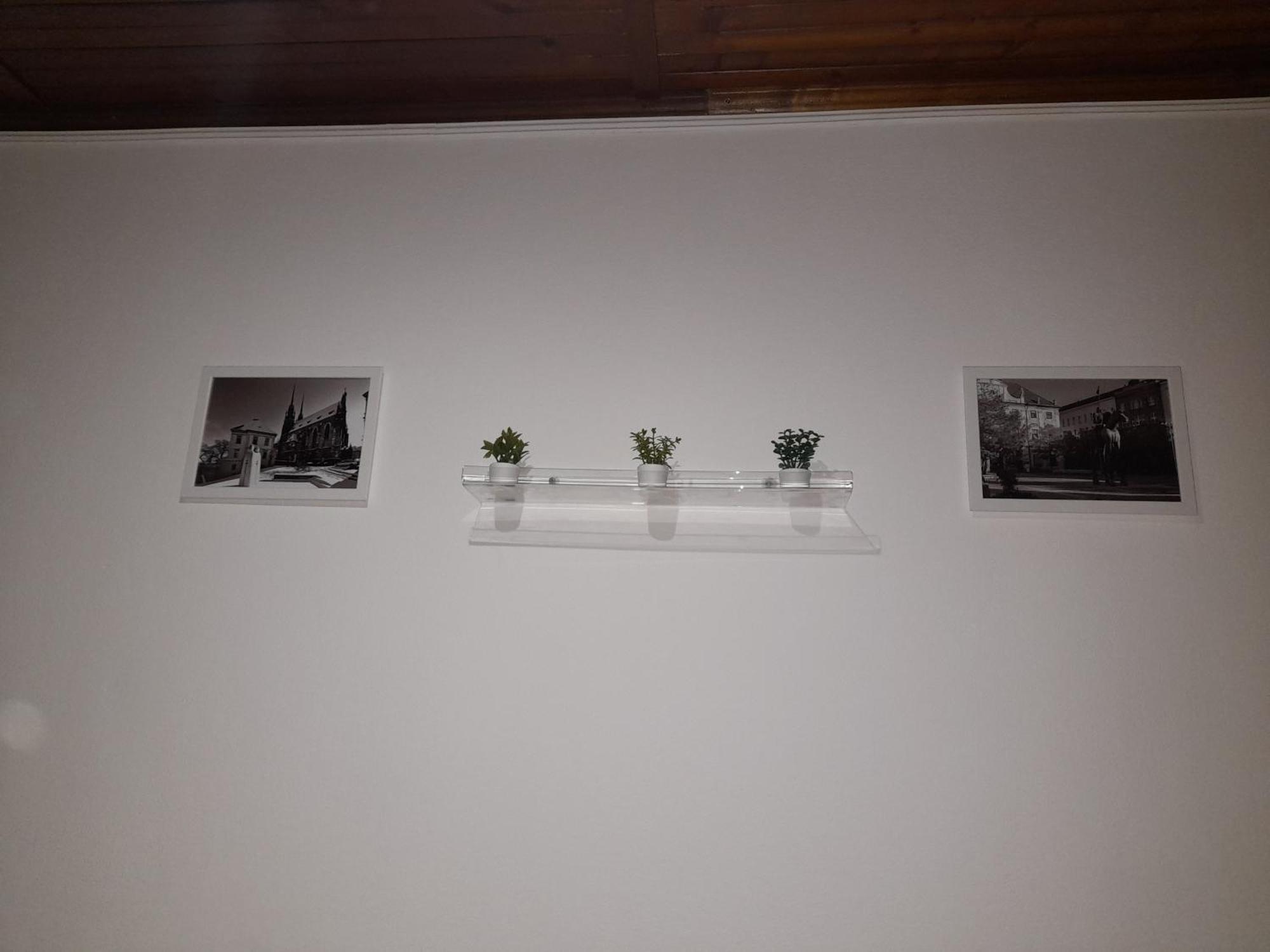 Apartments Vancurova ブルノ エクステリア 写真